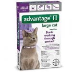 Bayer Advantage II Flea Treatment for Large Cats
