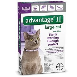 Bayer Advantage II Flea Treatment for Large Cats