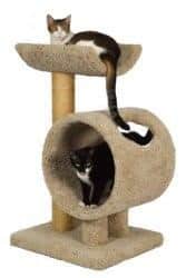 Molly and Friends Loft and Round 2-Tier Cat Tree