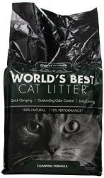 World’s Best Cat Litter Forest Scented Clumping Formula
