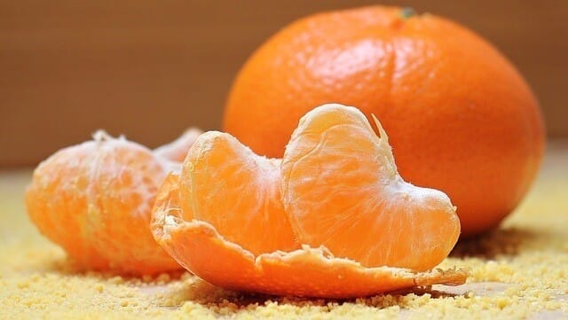 Scents cats dislike and hate citrus