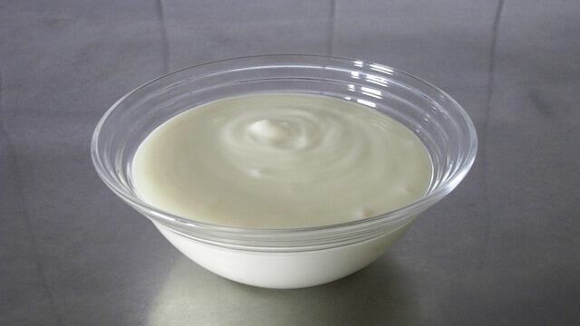 So Should You Feed Your Cat Greek Yogurt