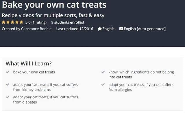 Bake Your Own Cat Treats by Constance Boehle