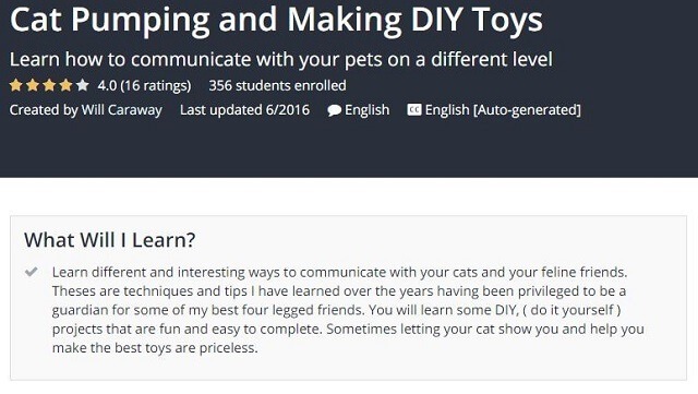 Cat Pumping and Making Diy Toys by Will Caraway