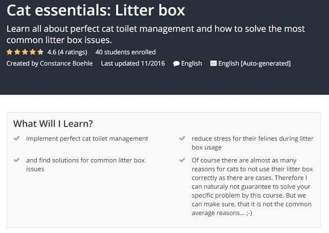 Cat essentials Litter box by Constance Boehle