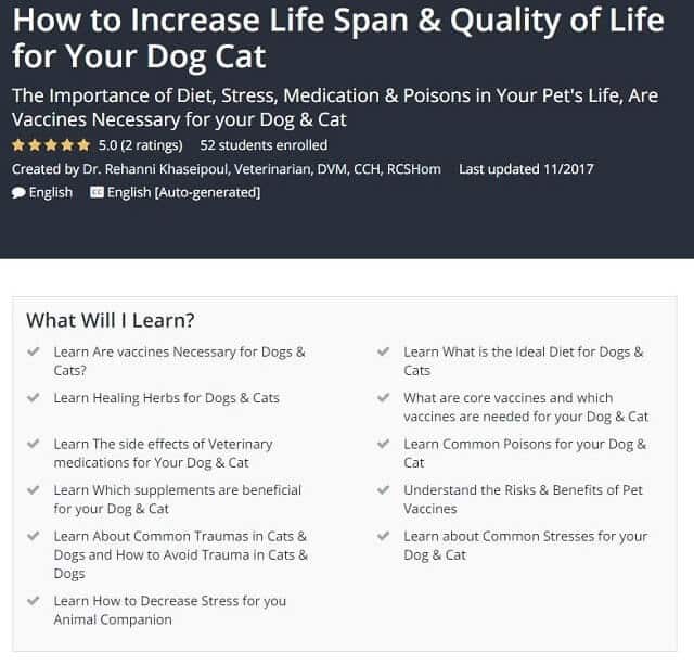 How to Increase Life Span & Quality of Life for Your Cat byDr. Rehanni Khaseipoul