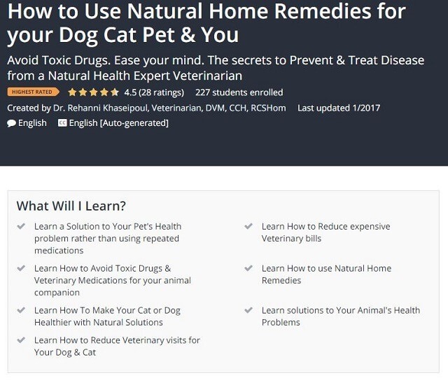 How to Use Natural Home Remedies for Your Cat by Dr. Rehanni Khaseipoul
