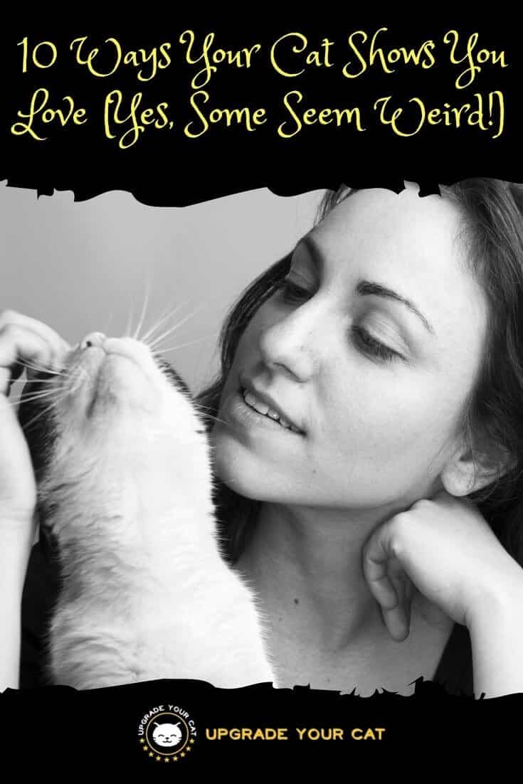 10 Ways Your Cat Shows You Love