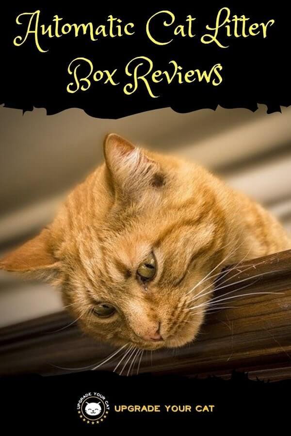 Automatic Cat Litter Box Reviews