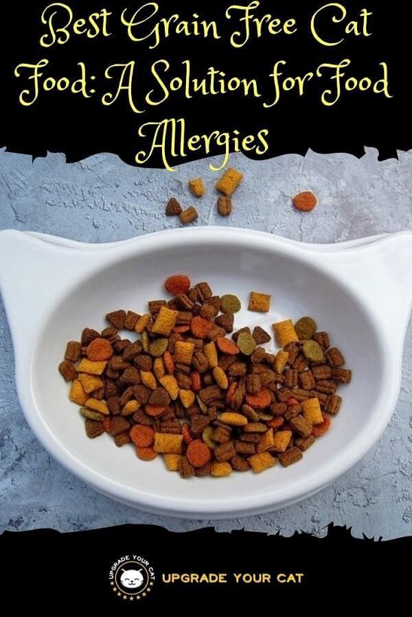 Best Grain Free Cat Food