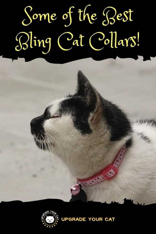 Bling Cat Collars