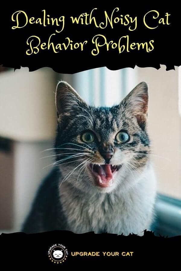 Dealing with Noisy Cat Behavior Problems