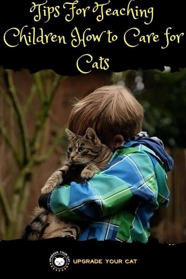 Teaching Children to Care for Cats