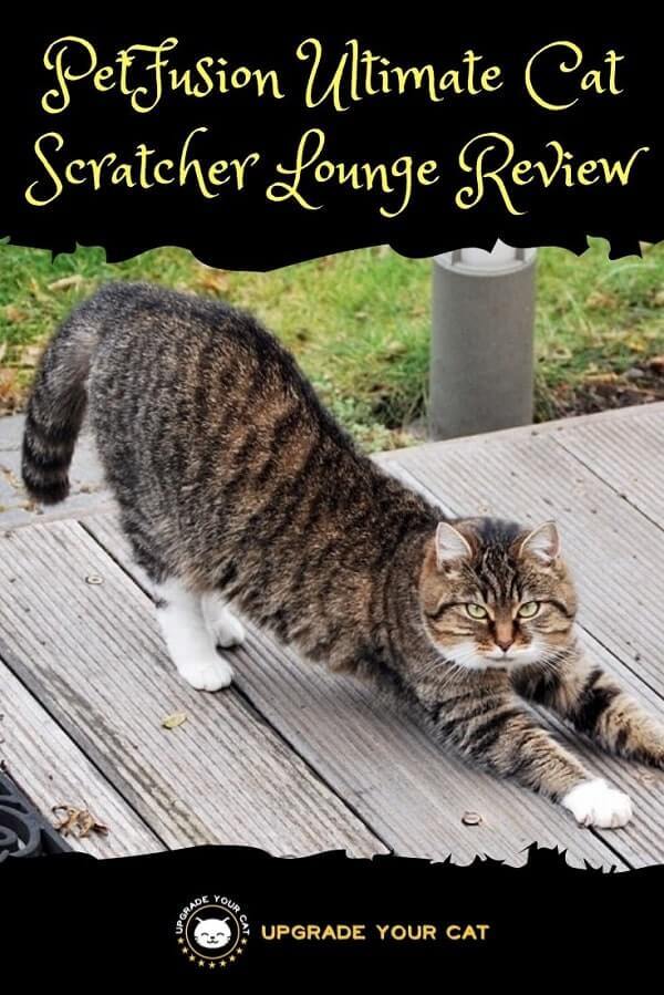 PetFusion Ultimate Cat Scratcher Lounge Review