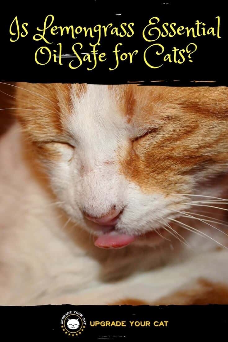 Is Lemongrass Essential Oil Safe for Cats