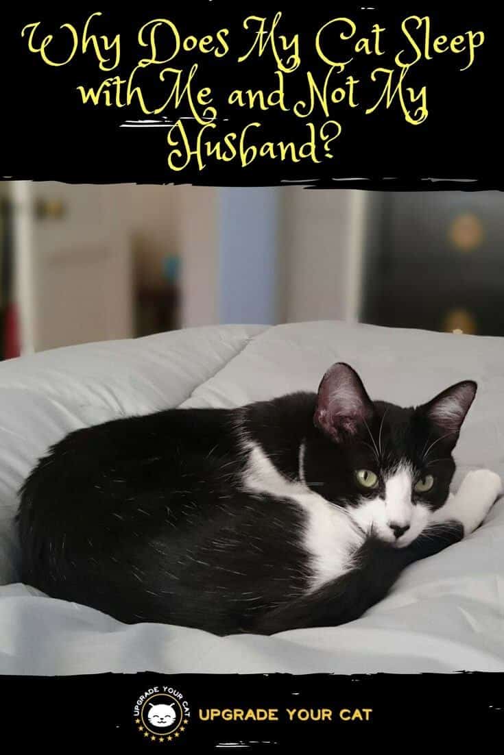 Why Does My Cat Sleep with Me and Not My Husband