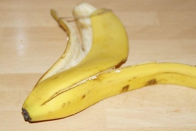 Can Cats Eat Banana Peels