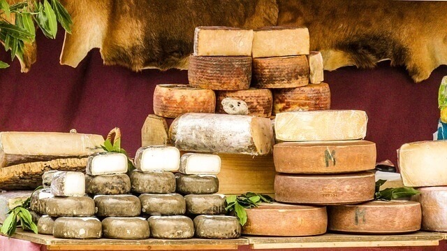 Is There Any Type of Cheese That's OK for Cats