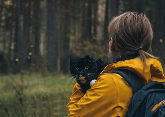 how to hike with a cat