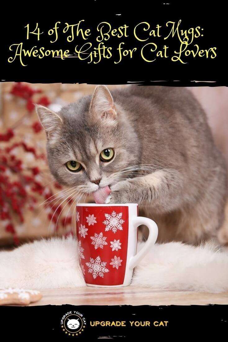14 of The Best Cat Mugs Awesome Gifts for Cat Lovers