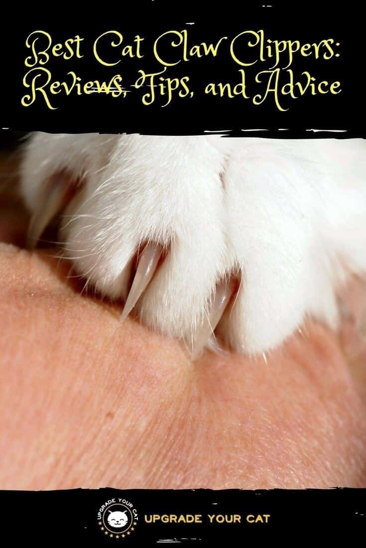 Best Cat Claw Clippers