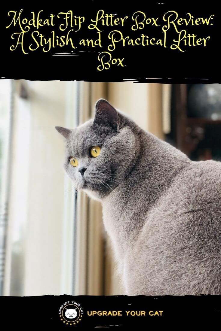 Modkat Flip Litter Box Review