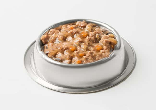 best bowl for wet cat food
