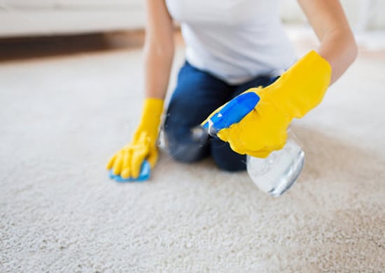 Best Cat Urine Remover For Carpets