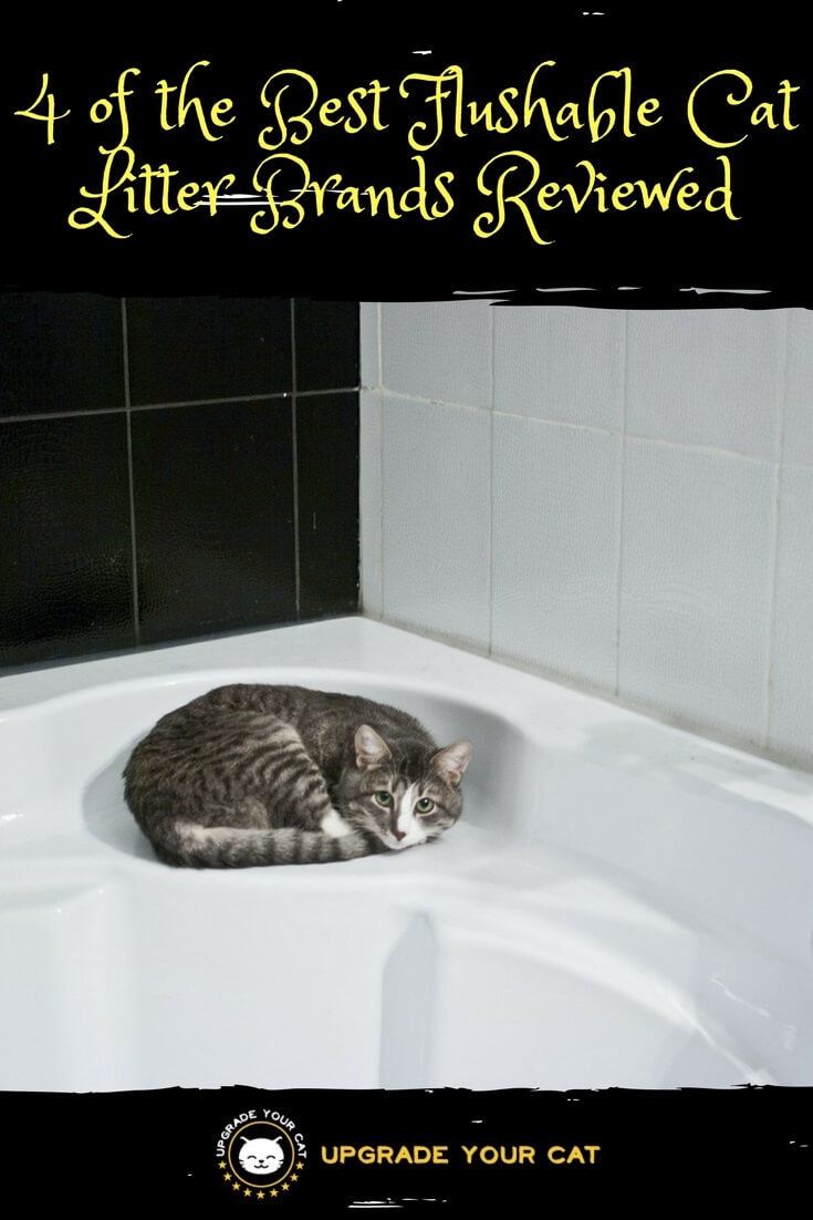 Best Flushable Cat Litter