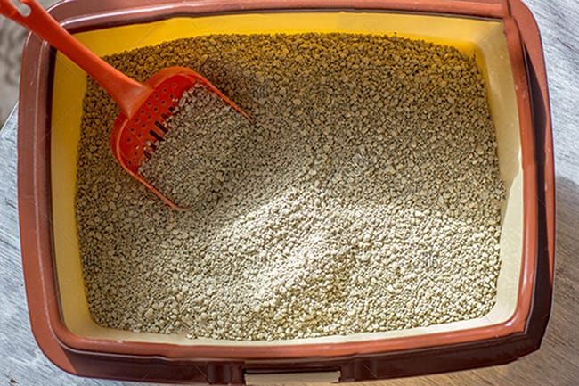 One Simple Trick To Finding The Healthiest Cat Litter