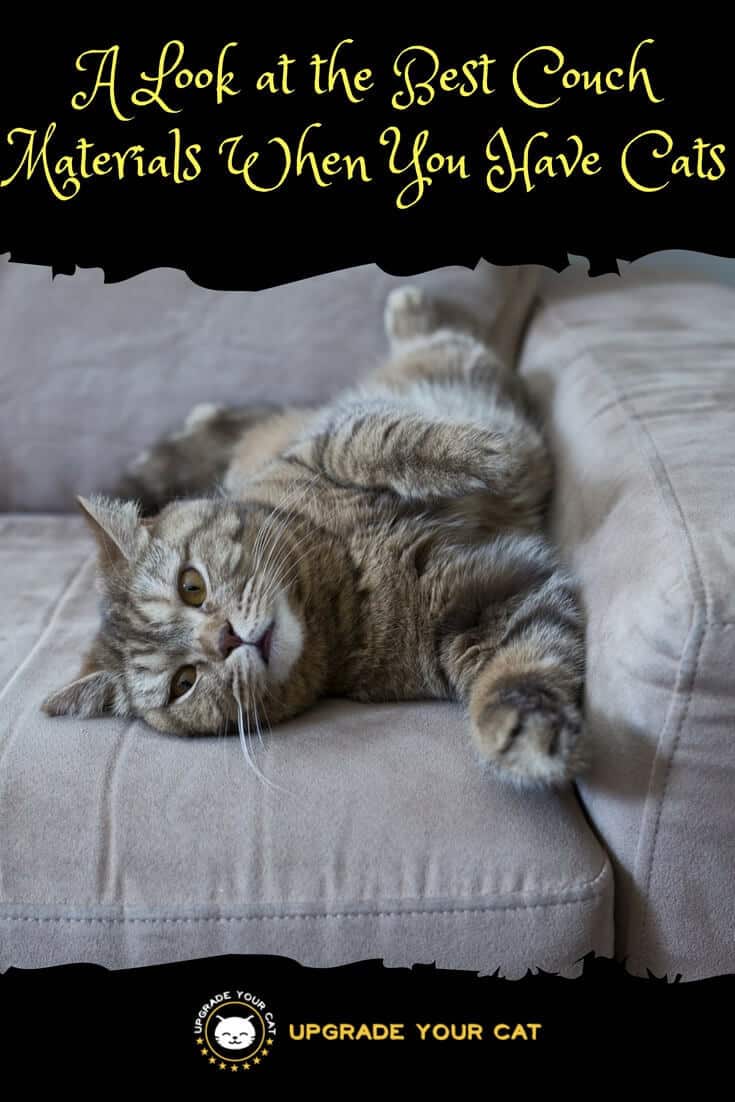 A Look at the Best Couch Materials When You Have Cats