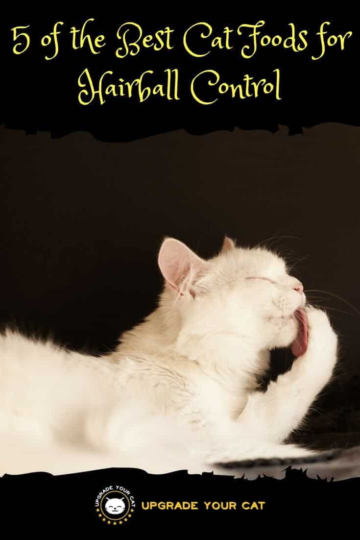 Best Cat Food for Hairball Control