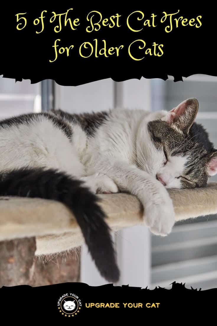 Best Cat Trees for Older Cats