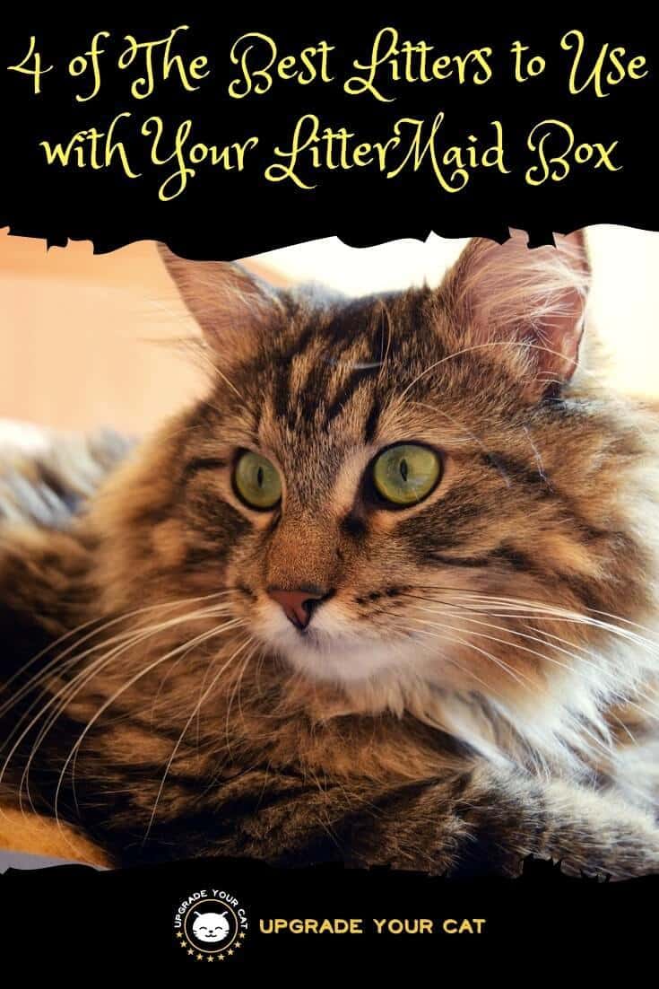 Best Litter to Use with LitterMaid Automatic Litter Box