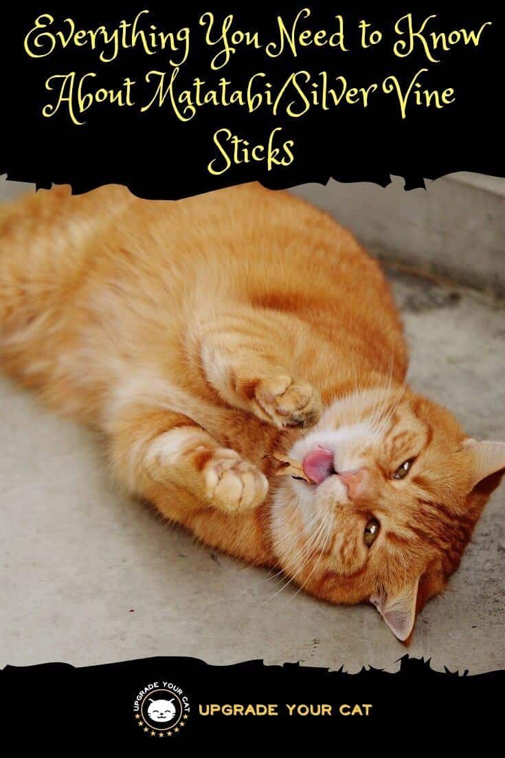 Matatabi Sticks for Cats