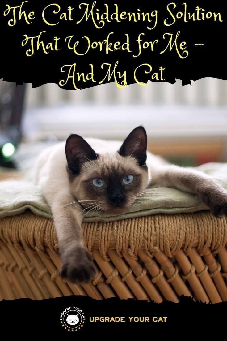 Cat Middening Solution