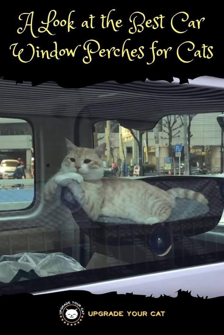 Best Car Window Perch for Cats