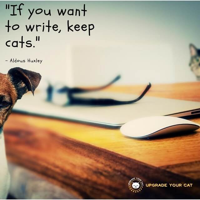 Cat Quotes If You Want To Write Keep Cats