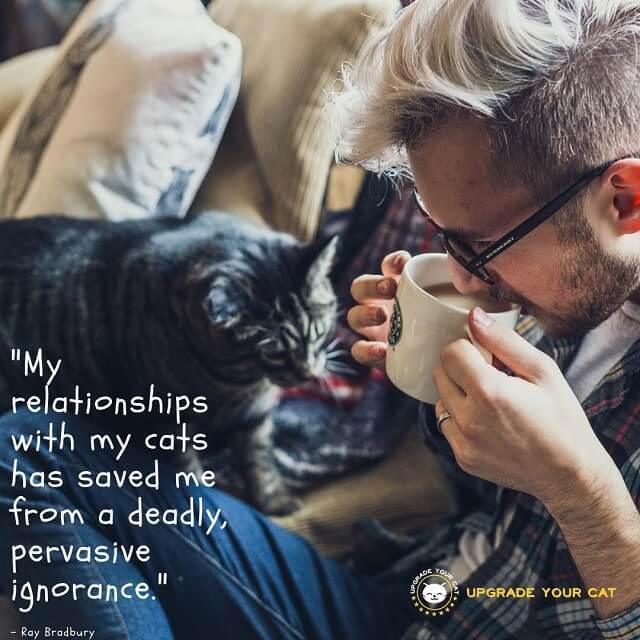 Cat Quotes My Relationships with My Cats has Saved Me From a Deadly Pervasive Ignorance