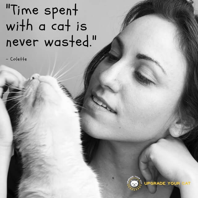 Cat Quotes Time Spent with a Cat is Never Wasted
