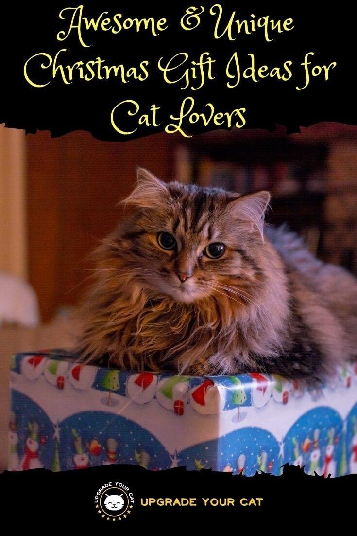 Christmas Ideas for Cat Lovers