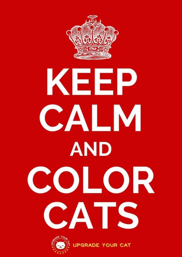 Keep Calm and Color Cats