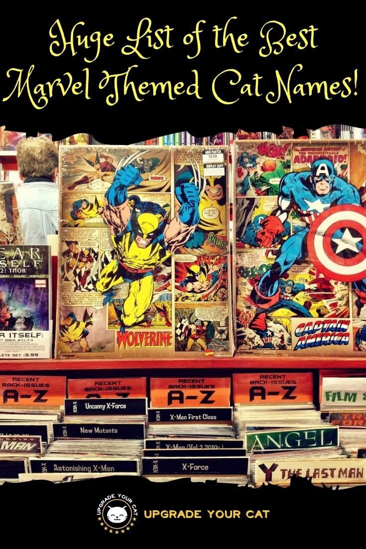 Marvel Cat Names