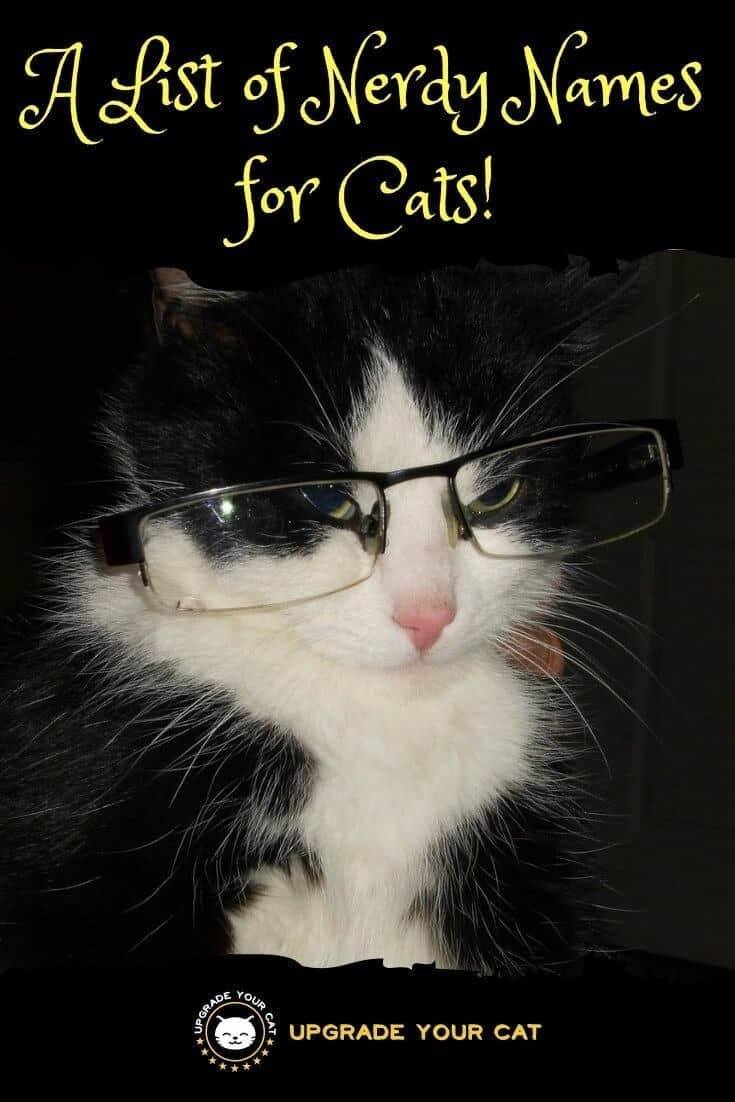 Nerdy Cat Names