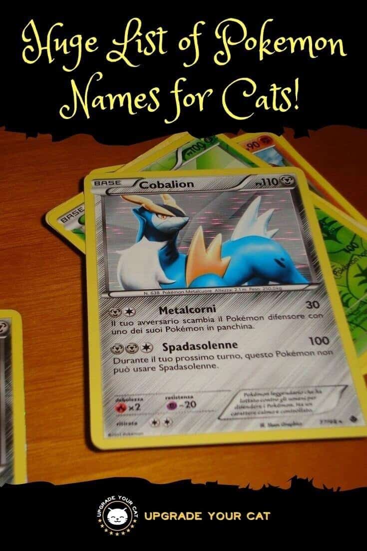 Pokemon Names for Cats