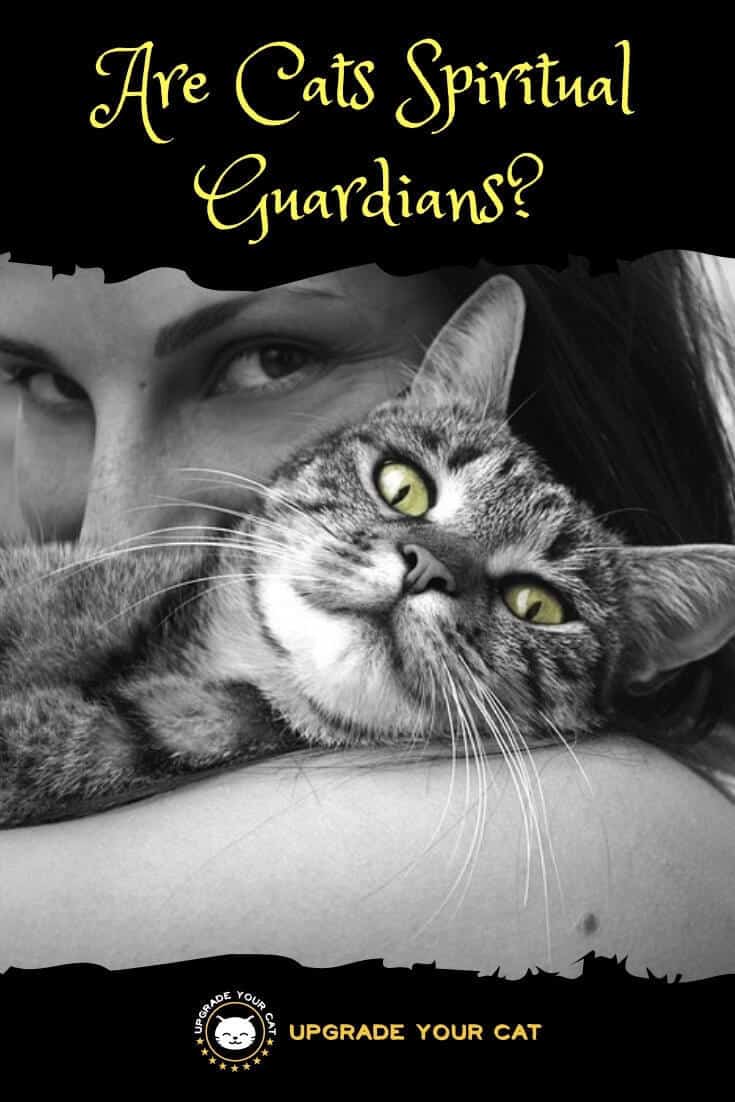 Are Cats Spiritual Guardians