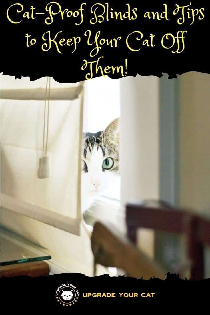 Cat Proof Blinds and Tips How to Keep Your Cat From Messing with your Blinds