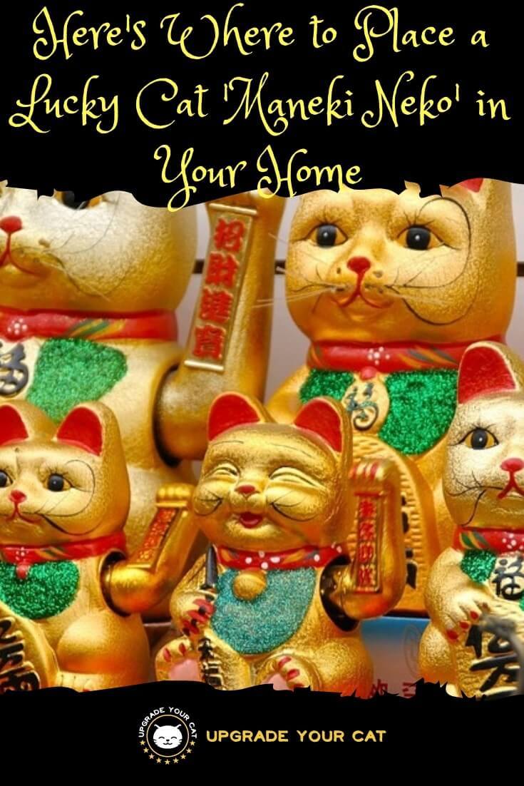 Chinese Lucky Cat Where to Place in Home