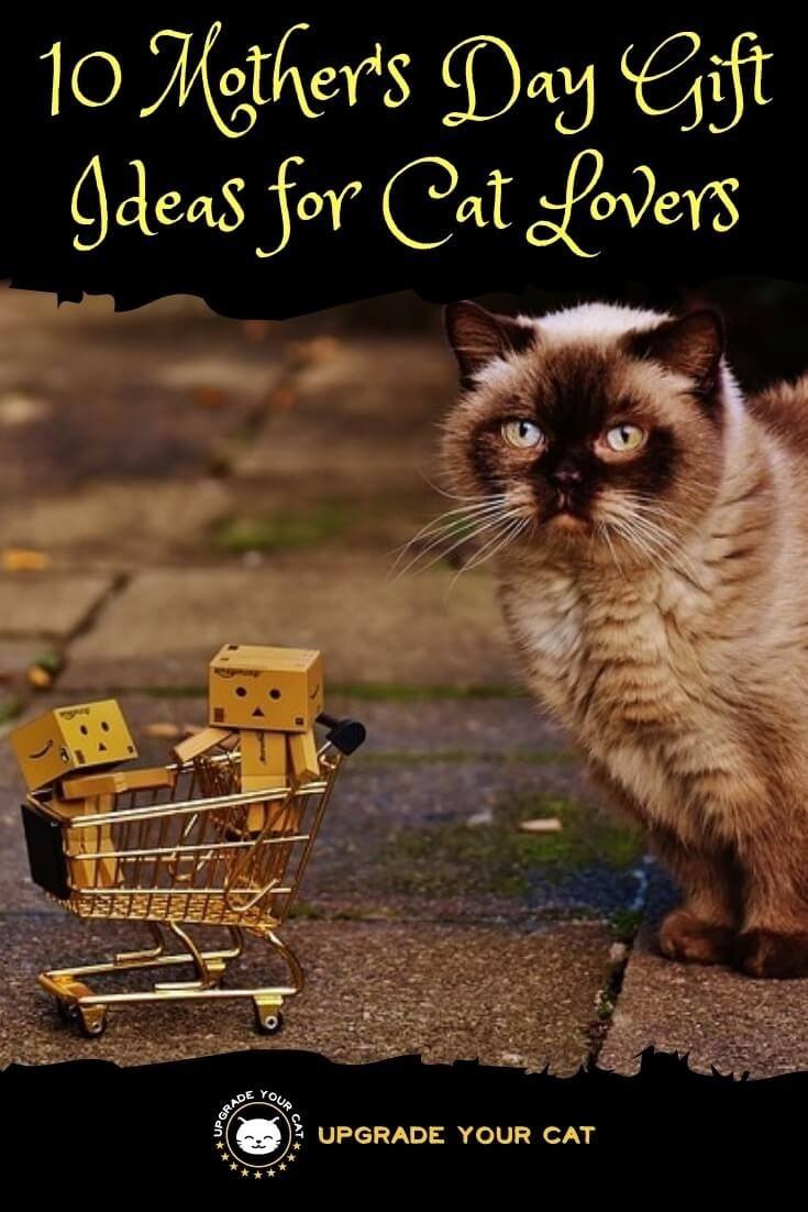 Mother's Day Gifts for Cat Lovers