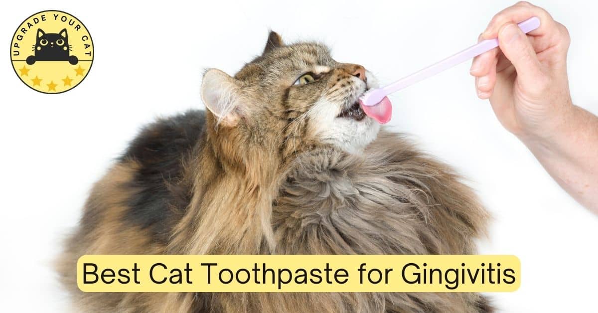 Best Cat Toothpaste for Gingivitis